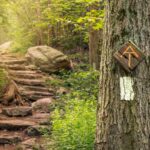 Appalachian Trail White Blaze and Sign