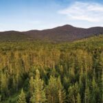 The Grafton Forest Wilderness Preserve in Maine’s Mahoosuc Range — where 21,300 acres of the T.T. landscape are now protected. Photo by Jerry Monkman, ecophotography.com
