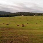 Flatlands PA