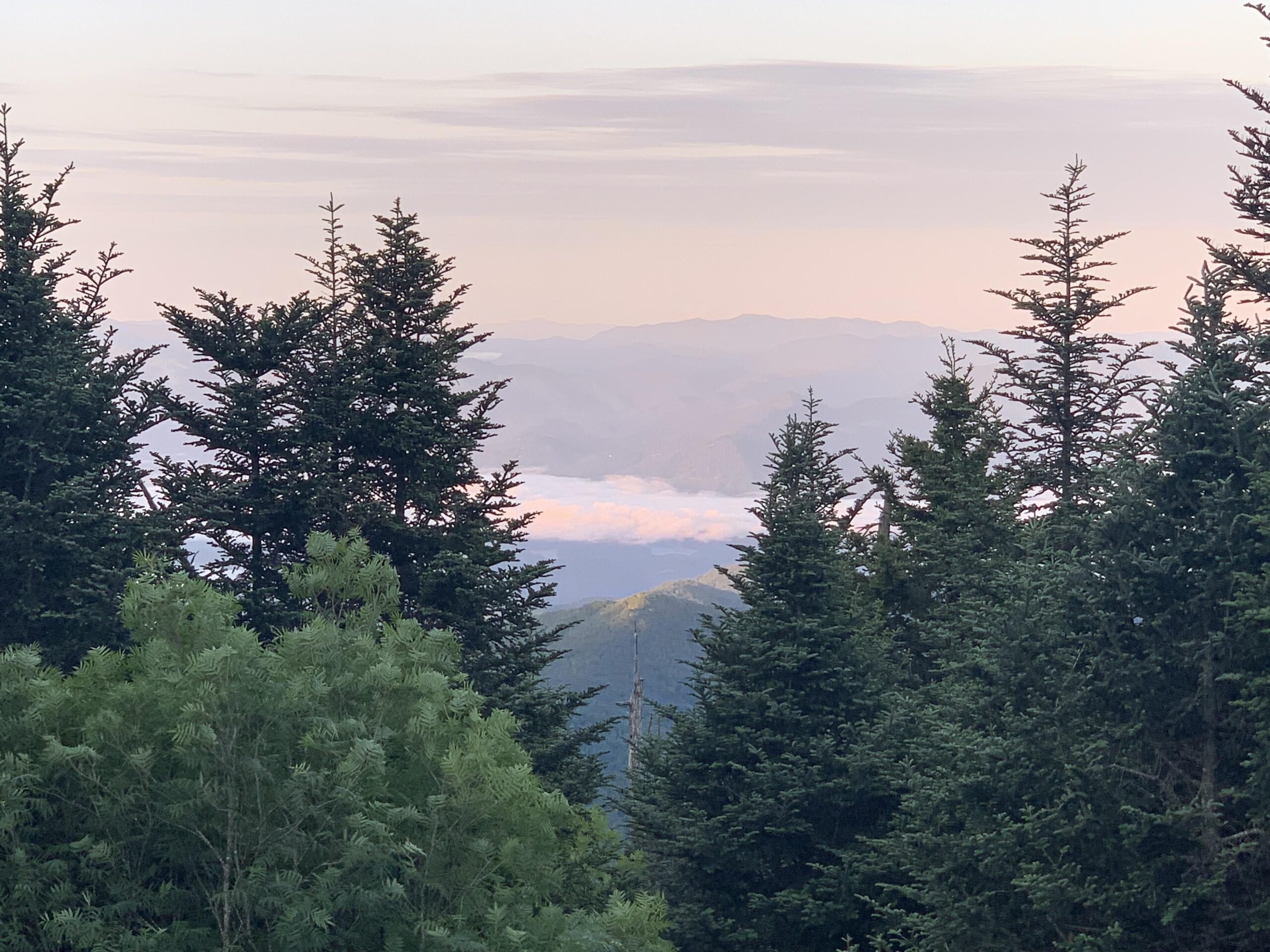 Clingmans Dome Swain County, North Carolina. Photo by Laurie Lane @laurieplane