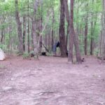 Campsite clearing in forest bordered by tents.