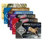 Six variants of America the Beautiful passes