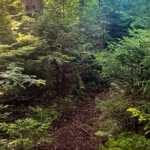 Maine